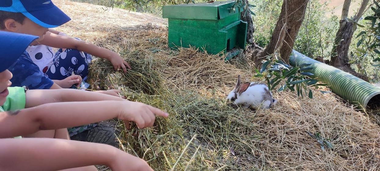 Agriturismo Biofattoria L'Upupa Montalcino Zewnętrze zdjęcie