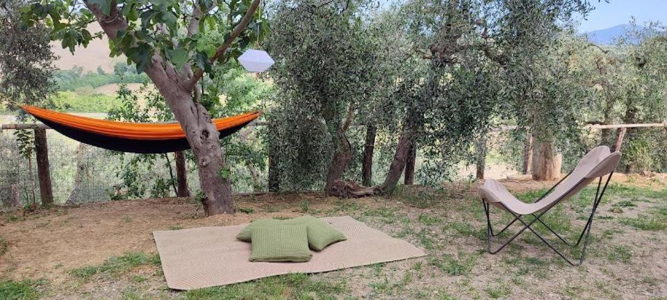 Agriturismo Biofattoria L'Upupa Montalcino Zewnętrze zdjęcie