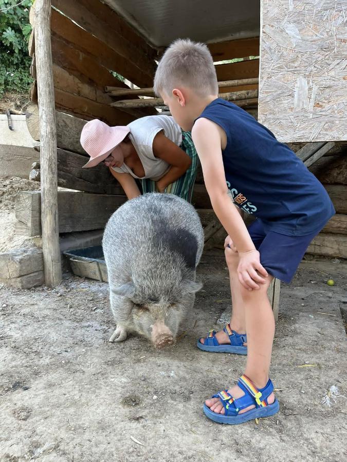Agriturismo Biofattoria L'Upupa Montalcino Zewnętrze zdjęcie