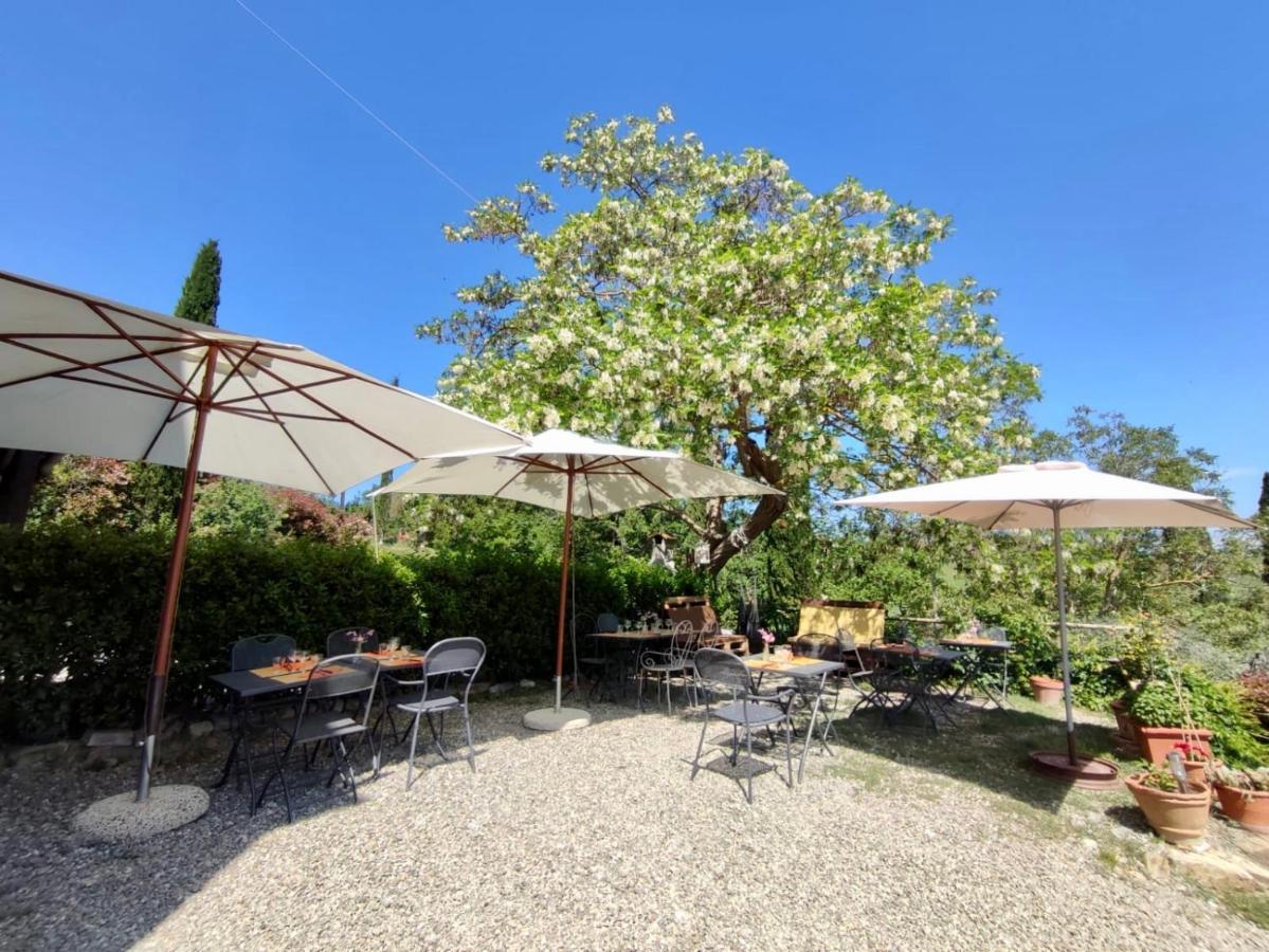Agriturismo Biofattoria L'Upupa Montalcino Zewnętrze zdjęcie