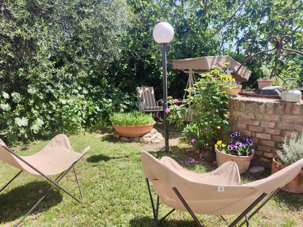 Agriturismo Biofattoria L'Upupa Montalcino Zewnętrze zdjęcie