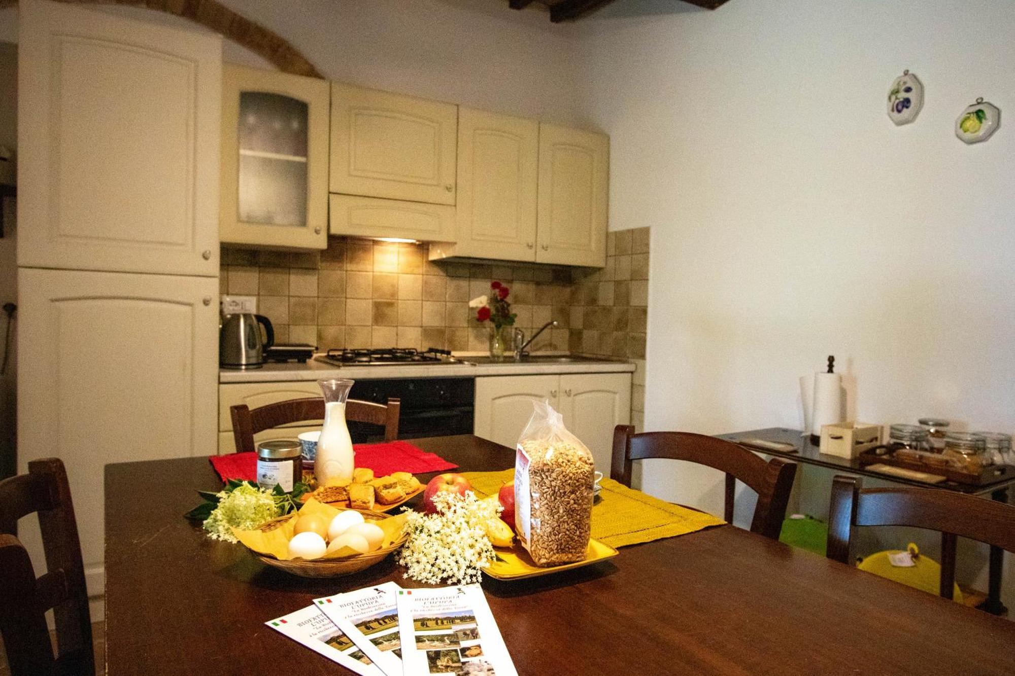 Agriturismo Biofattoria L'Upupa Montalcino Zewnętrze zdjęcie