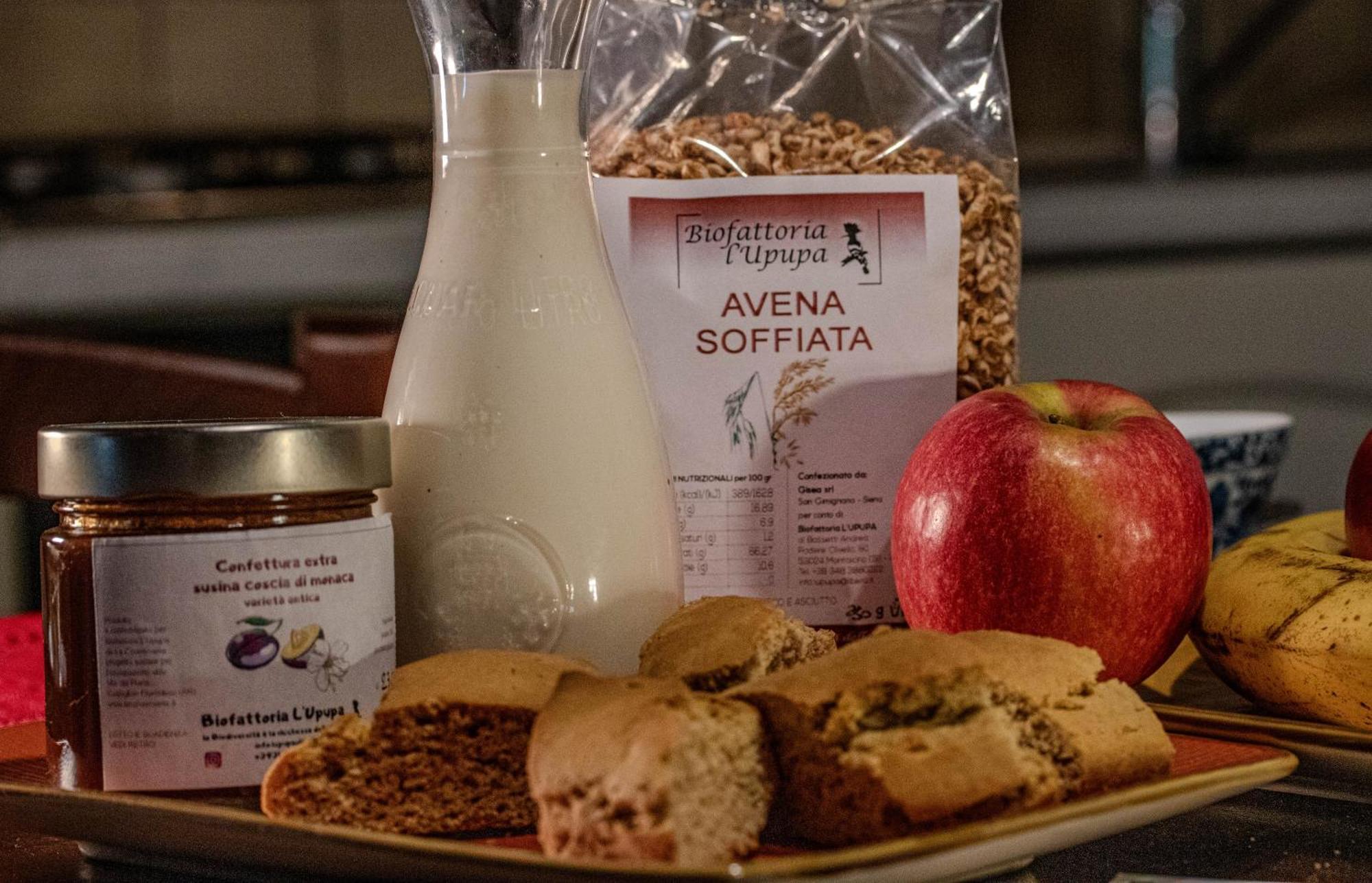 Agriturismo Biofattoria L'Upupa Montalcino Zewnętrze zdjęcie
