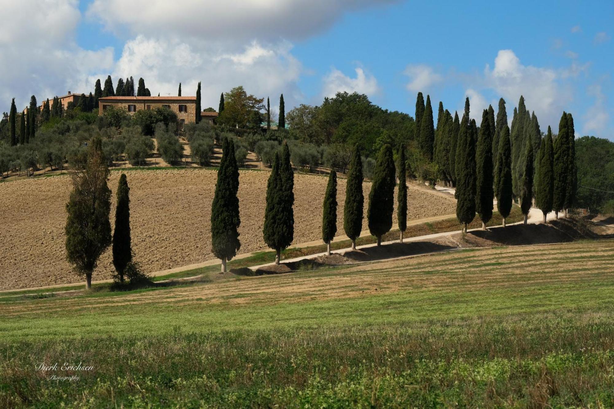 Agriturismo Biofattoria L'Upupa Montalcino Zewnętrze zdjęcie