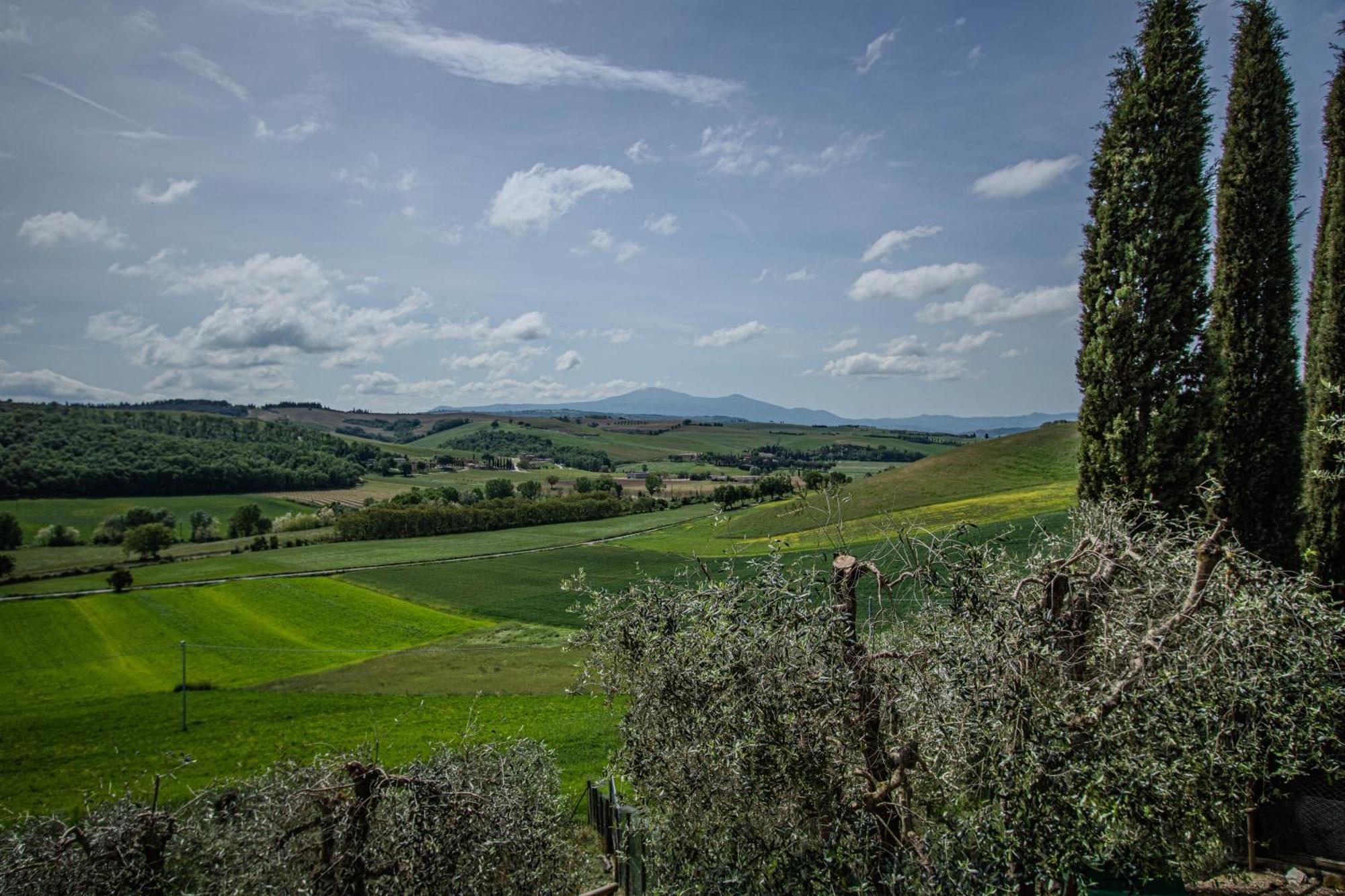 Agriturismo Biofattoria L'Upupa Montalcino Zewnętrze zdjęcie