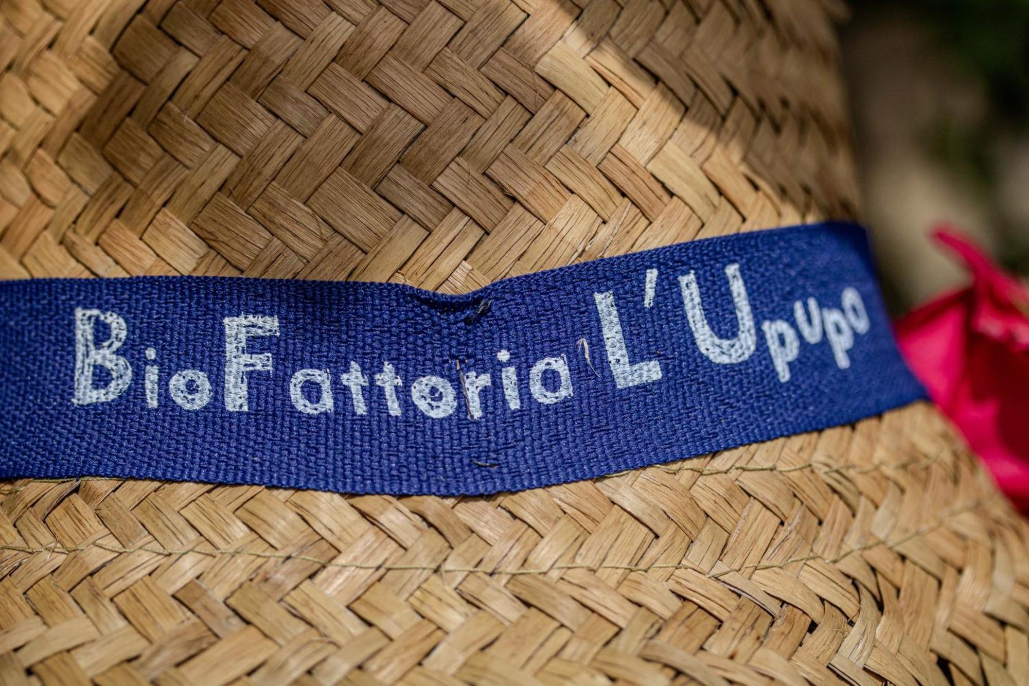 Agriturismo Biofattoria L'Upupa Montalcino Zewnętrze zdjęcie
