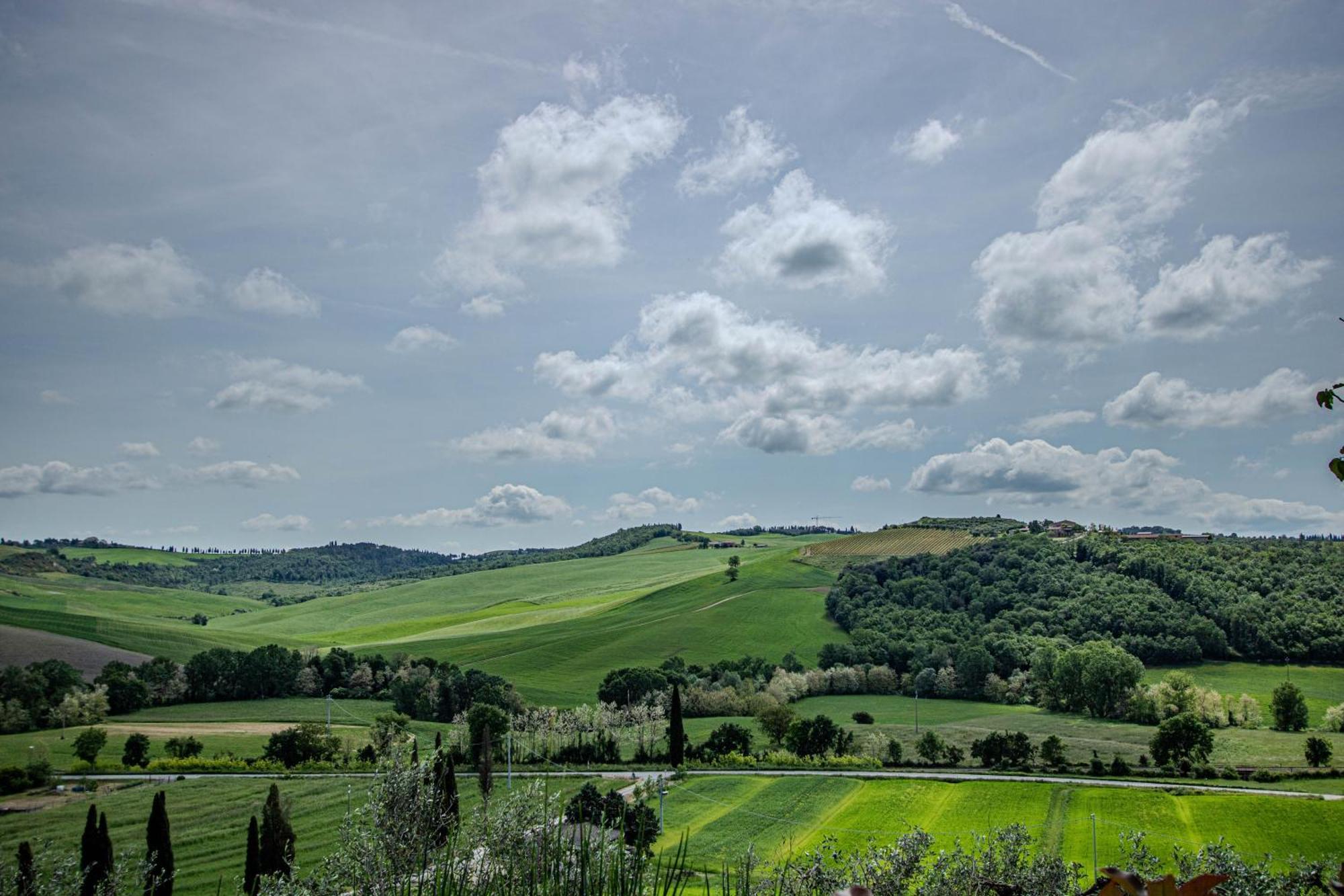 Agriturismo Biofattoria L'Upupa Montalcino Zewnętrze zdjęcie