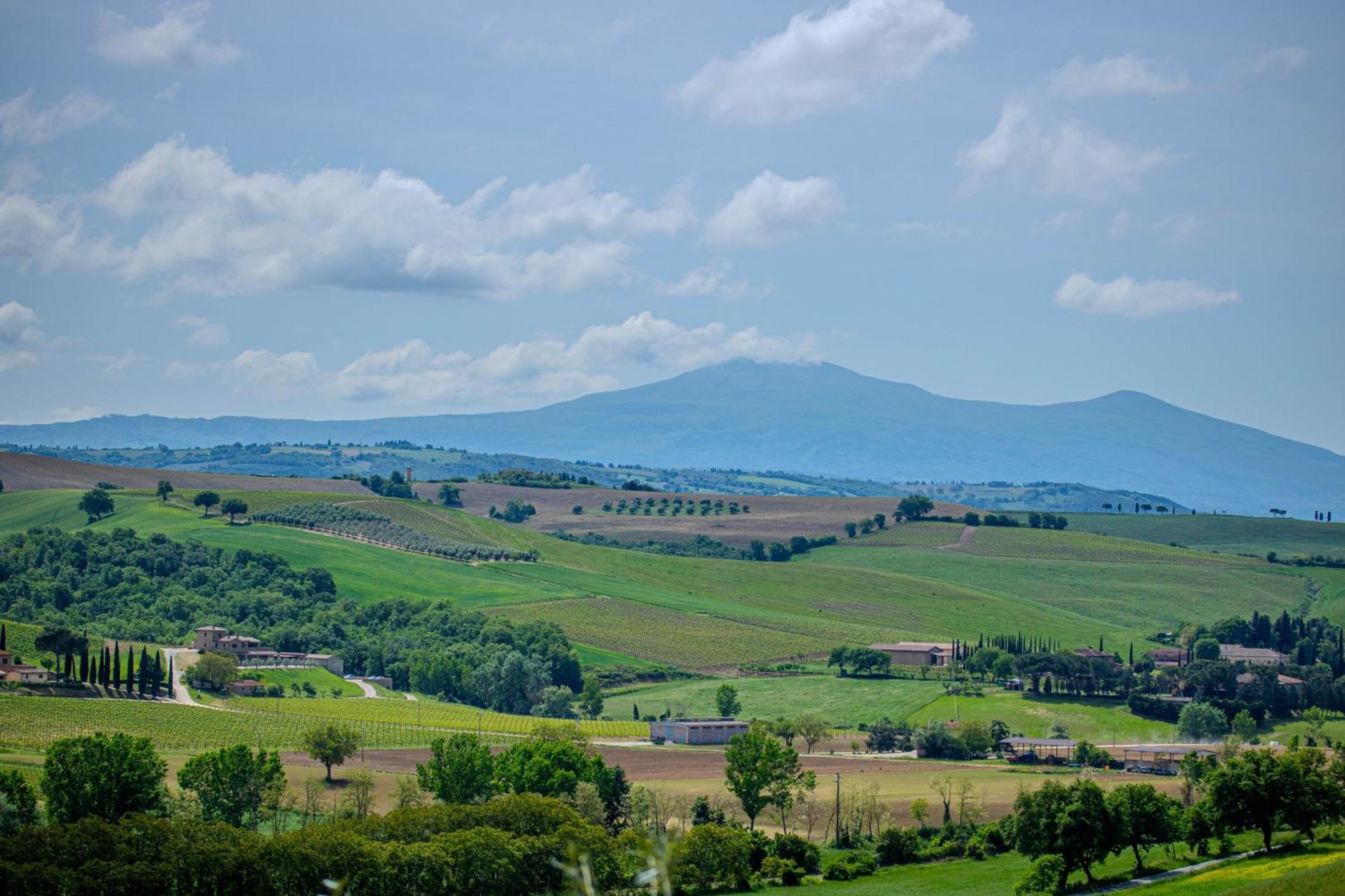 Agriturismo Biofattoria L'Upupa Montalcino Zewnętrze zdjęcie