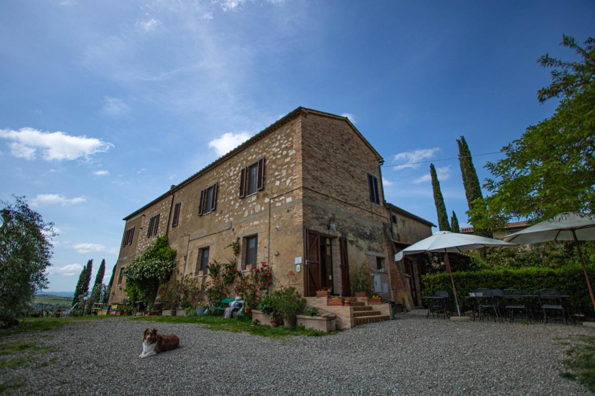 Agriturismo Biofattoria L'Upupa Montalcino Zewnętrze zdjęcie